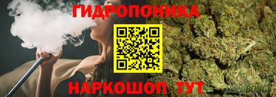 таблы Пугачёв