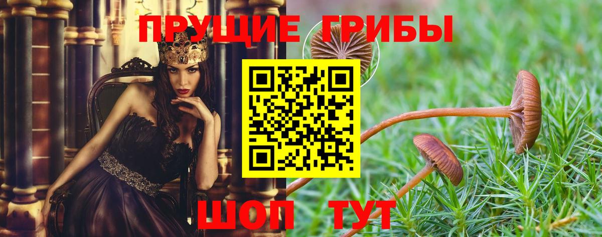 Галлюциногенные грибы мицелий  Вход с VPN  Рубцовск 